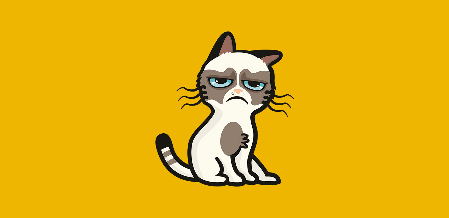 blog_catday_catsinternet_fr