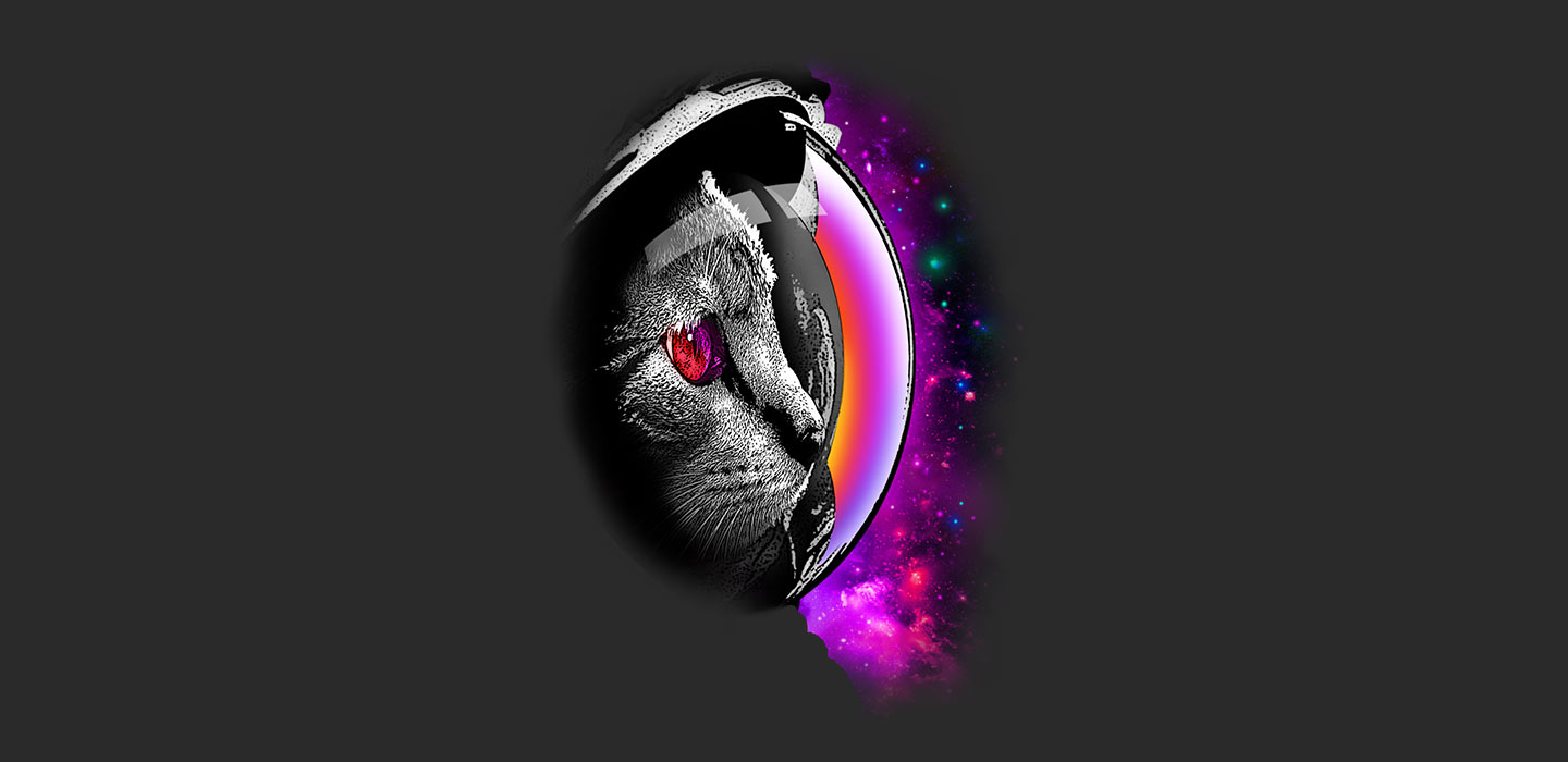 blog_catday_spacecat_fr