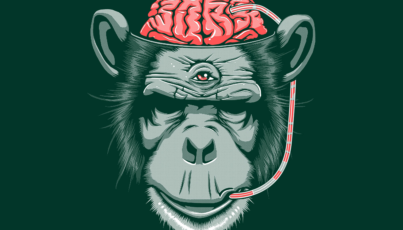 Le designer du mois – Magnaen