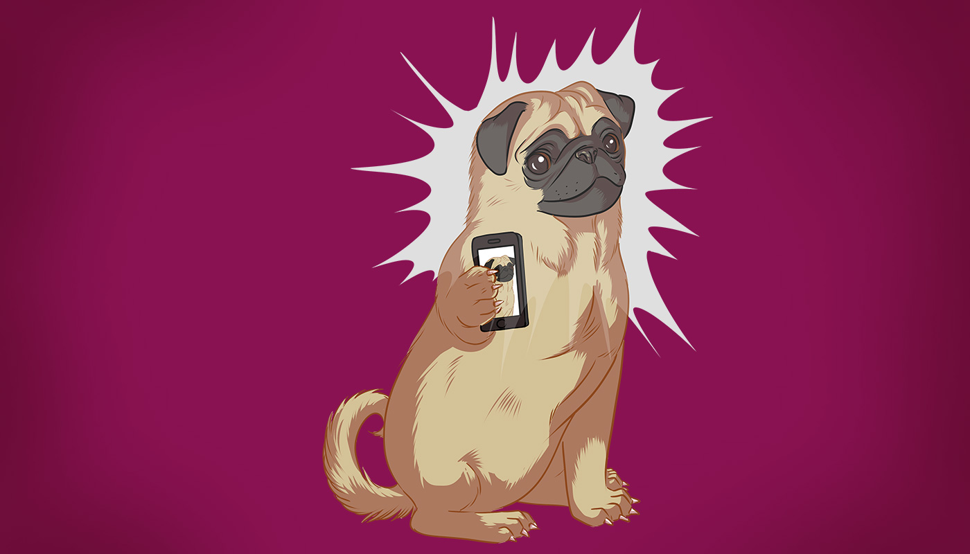 Le designer du mois – ChilliFox