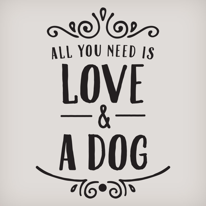 Saint-Valentin – 5 idées de designs pour sortir du lot