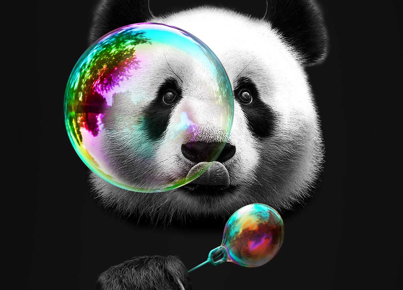blog_top-search-term_design_fr_google_panda
