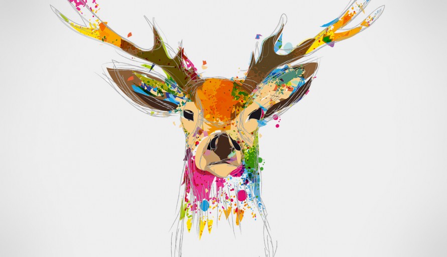 blog_aotm_namo_designs_hirsch-119313200